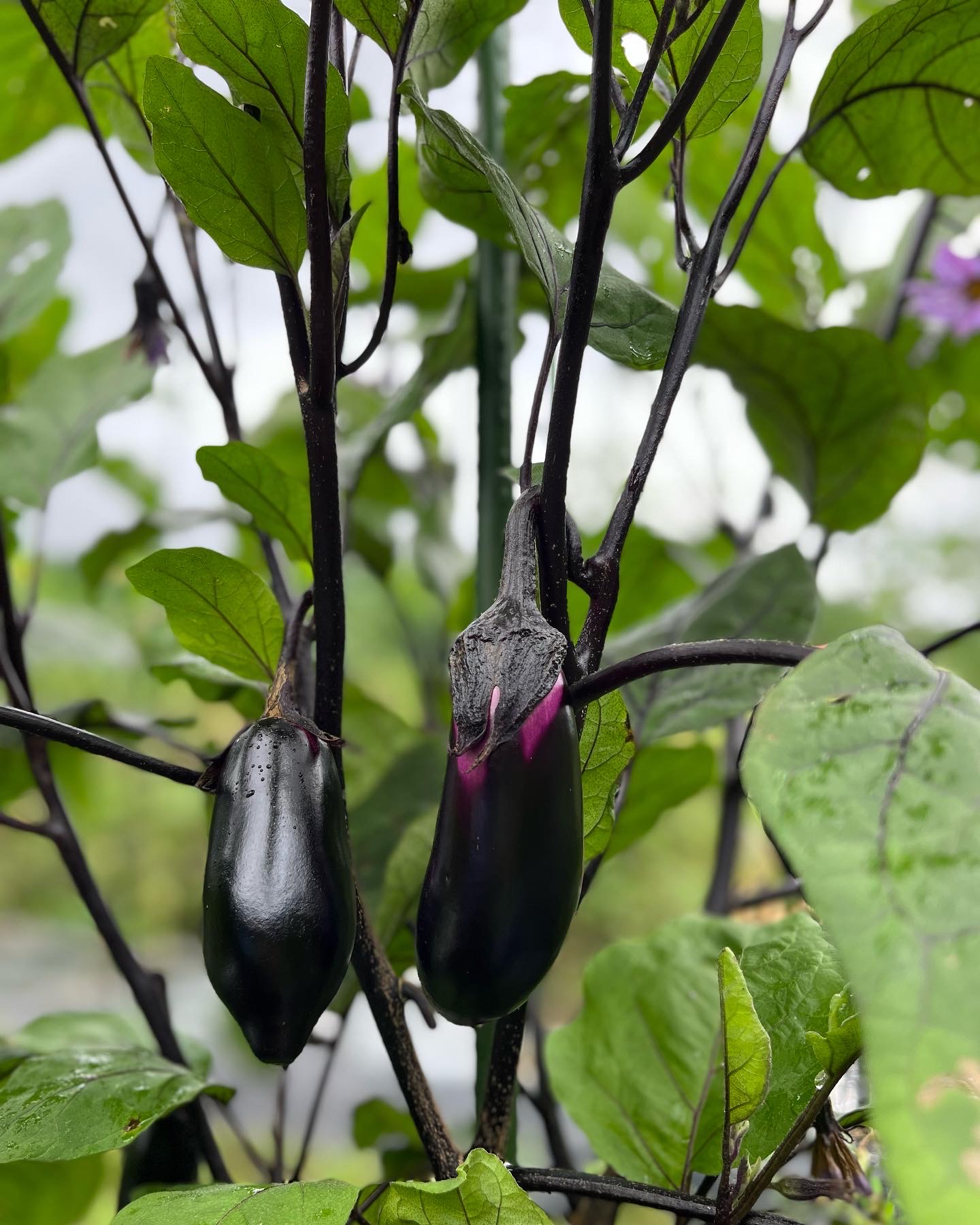 0C0281D8-7152-4BE9-AFCA-