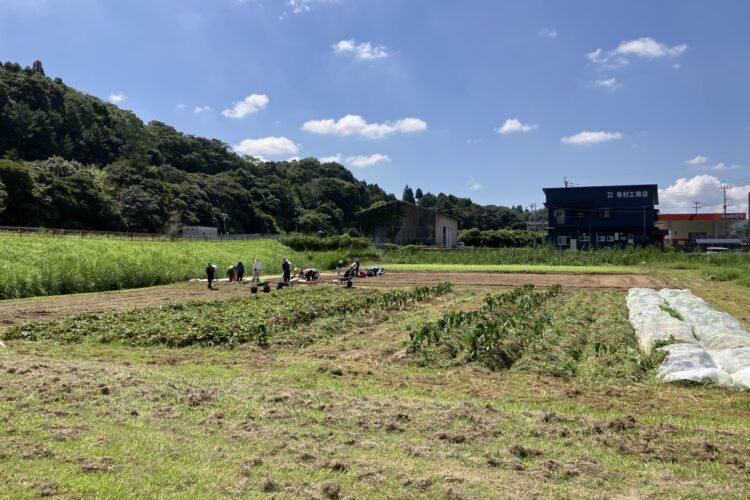 ありのまま分校　実習日　人参種まき、じゃがいも植え付け