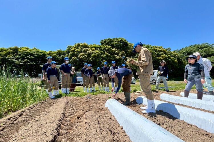 常潤高校生と合同実習