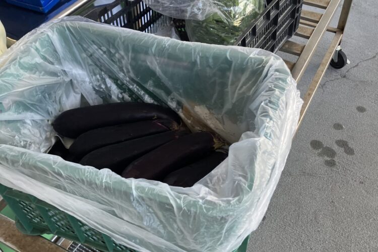 ７月　学校給食納品